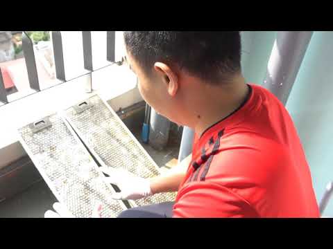 Hướng dẫn làm sạch lưới lọc máy hút mùi bị bám nhiều dầu mỡ