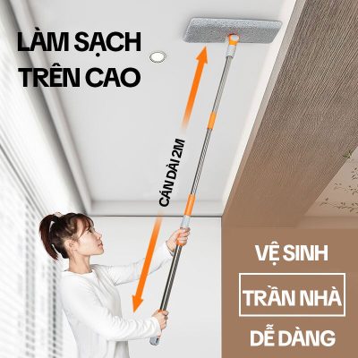 Cây Lau Trần Nhà
