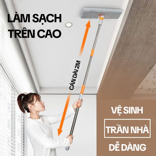 Cây Lau Trần Nhà