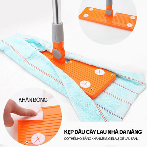 Cây Lau Tường