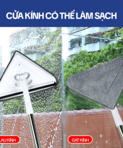 Cây Lau Kính
