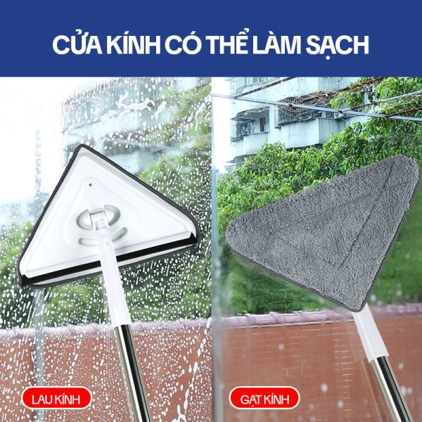 Cây Lau Kính