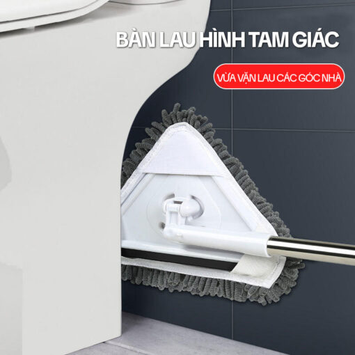 Cây Lau Nhà