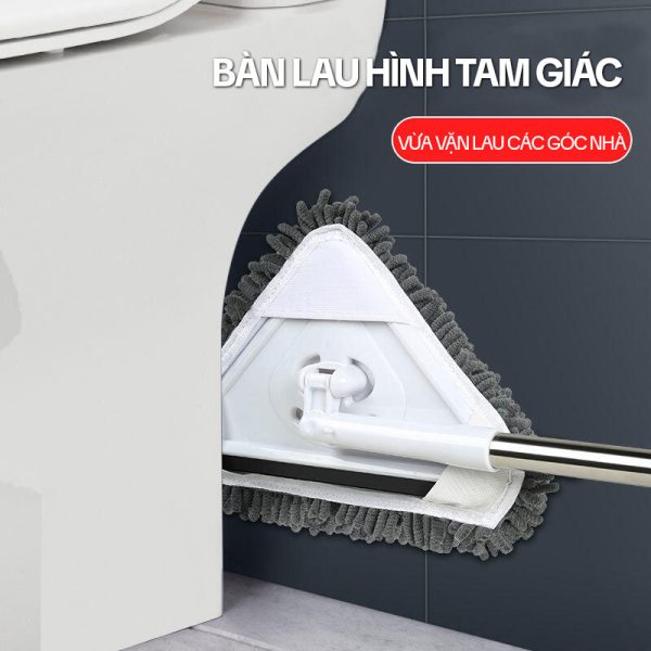 Cây Lau Nhà