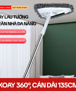 Cây Lau Trần Nhà