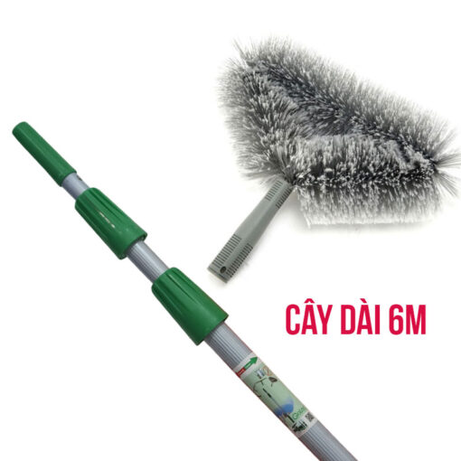Choi Quet Tran 6m