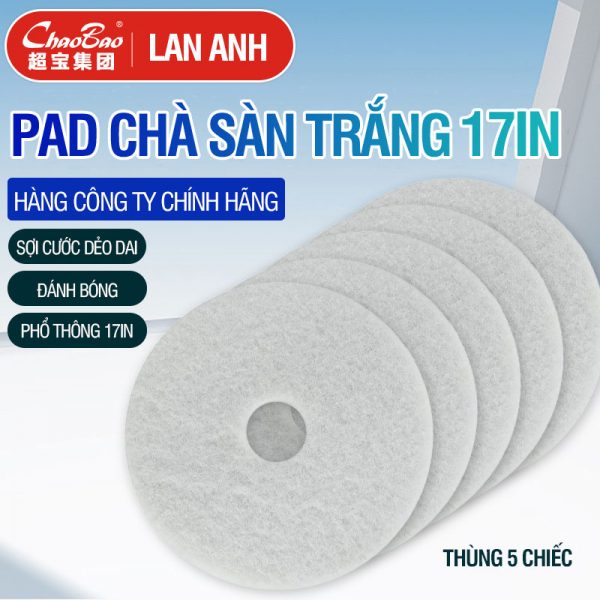 Pad Chà Sàn