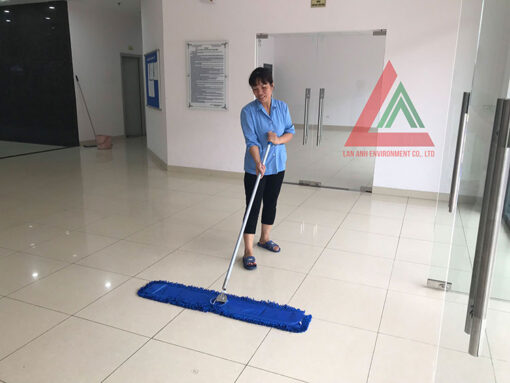 Cây lau sàn công nghiệp