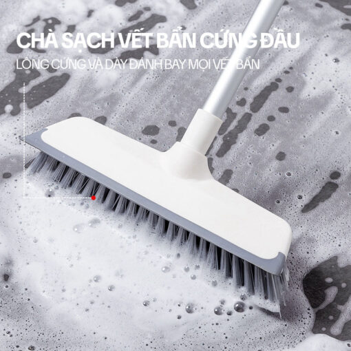 Cây Chà Sàn