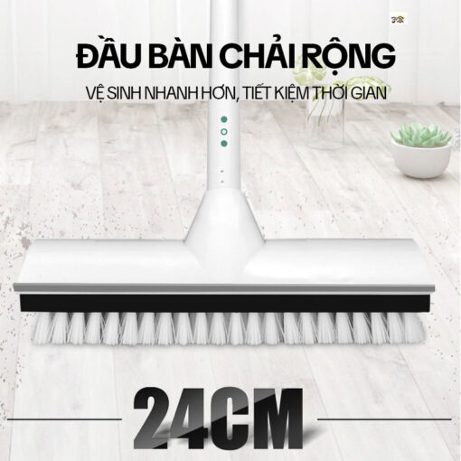 Cây Chà Sàn