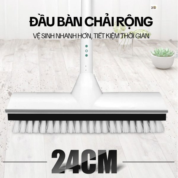 Cây Chà Sàn