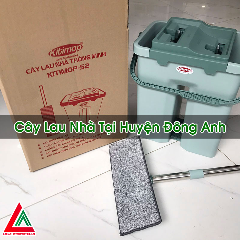 Cây Lau Nhà Tại Huyện Đông Anh