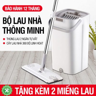 Cây Lau Nhà
