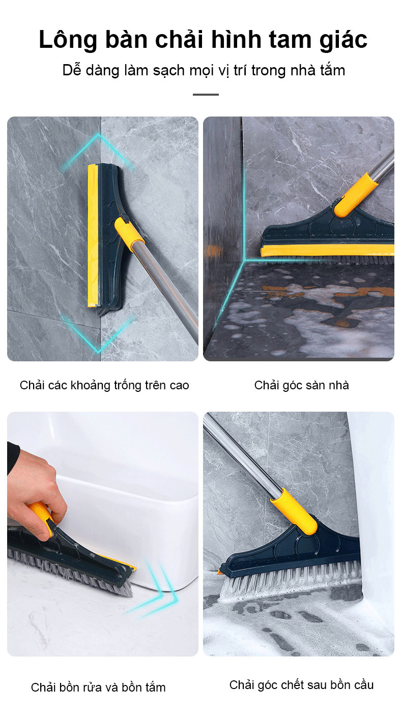 Cây Cọ Nhà Vệ Sinh