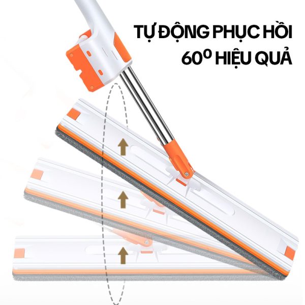Cây Lau Sàn