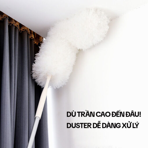 Cây Quét Trần Nhà