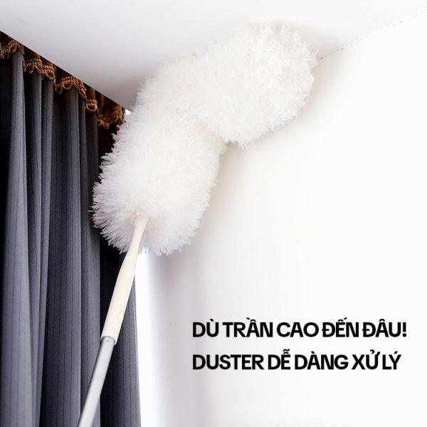 Cây Quét Trần Nhà