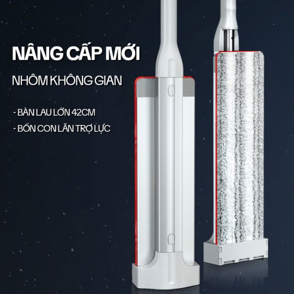 Cây Lau Nhà