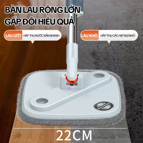 Cây Lau Nhà