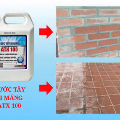 Xm2