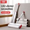 Cây Lăn Bụi