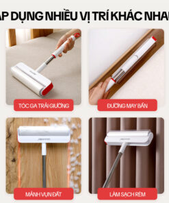 Cây Lăn Bụi Giường