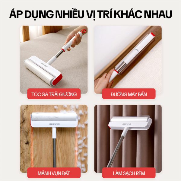 Cây Lăn Bụi Giường