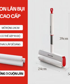 Cây Lăn Lông Mèo