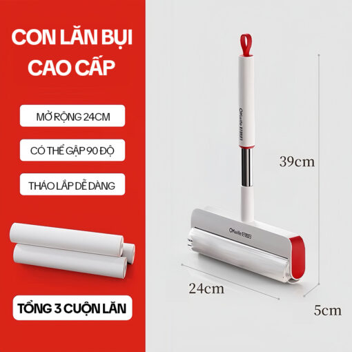 Cây Lăn Lông Mèo