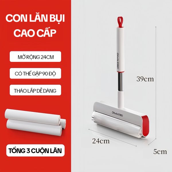 Cây Lăn Lông Mèo