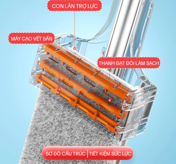 Cây Lau Tự Vắt 45cm 11
