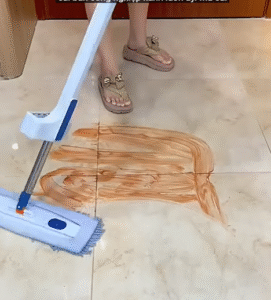 Cây San Hô Tự Vắt